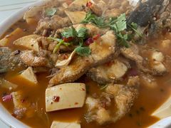 -煲来饱去冷水鱼