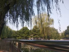 -黄村公园