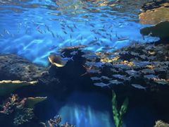 -华夏文旅海洋公园