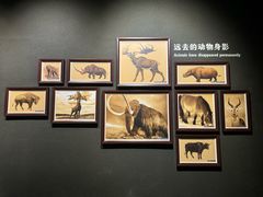 -大庆市博物馆