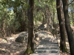 -火炉山森林公园