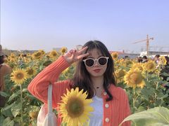 -映月湖中央公园