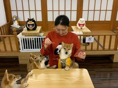 -豆柴町-柴犬主题狗咖(红鼎国际C座店)