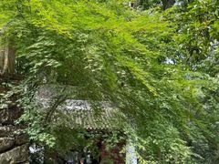 -韬光茶庵