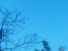 -三水森林公园