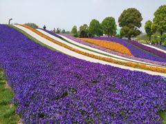 -南通洲际绿博园