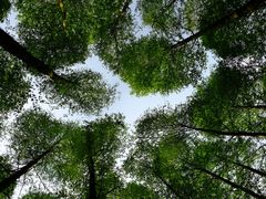 -山王坪喀斯特国家生态公园