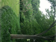 -杭州城北体育公园