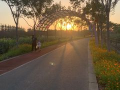 -上海长兴岛郊野公园