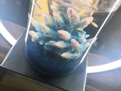 -C&R西班牙餐厅