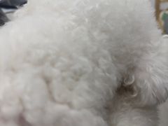 -海门爱心宠物医院
