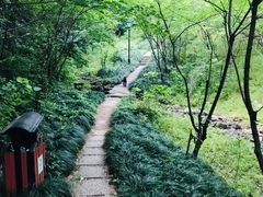 -杭州半山国家森林公园