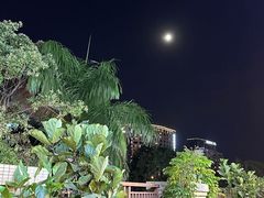 -茶油香闽南菜·花园餐厅(前埔店)