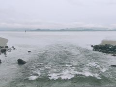 -深圳湾公园(南山区)