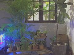 门面-素咫咖啡CLIFEROSE