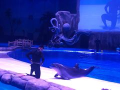 -华夏文旅海洋公园