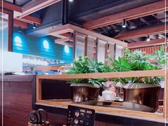 -盛江山自助料理(奥莱锦辉购物广场店)