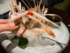 新西兰鳌虾N2-普朗姆生蚝吧(原建国路店)