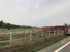 -大连铭湖国际观光牧场