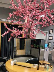 -时尚殿堂明星门店