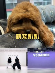 点击看大图 -北京V5舞蹈工作室