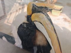 -长春农业博览园