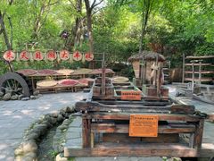 -天目湖山水园