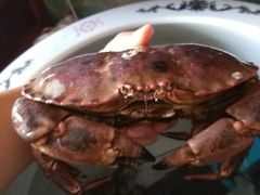 -盒马鲜生(大成店)