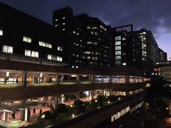 -香港大学
