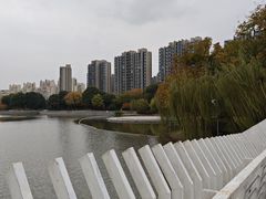 -南翔镇银翔湖公园