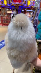 -哈姆雷斯(王府井百货大楼店)