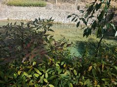 -温州永嘉书院