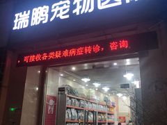 -瑞鹏宠物医院华南总院·夜诊·心脏科·骨科