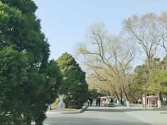 -北陵公园