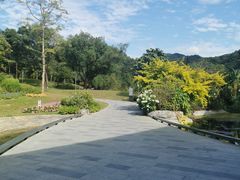 -云溪植物园