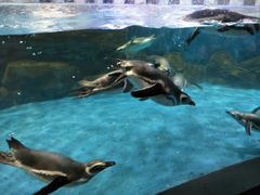 -常州海昌海洋探索馆