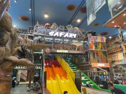-卡通尼·Safari非洲探索乐园·生日会(金桥国际商业广场店)