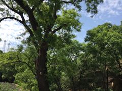 -北京西山国家森林公园