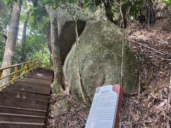 -海南霸王岭国家森林公园