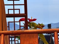 -楼外楼(西湖景区孤山路店)