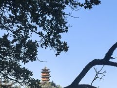 -塔云山