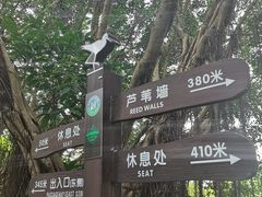 -华侨城湿地公园
