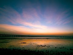 -宝安西湾红树林湿地公园