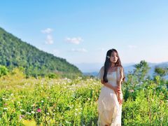 -武陵山森林公园