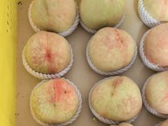 -老袁家蜜桃农场·阳山水蜜桃