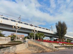 -宝安西湾红树林湿地公园