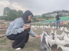 -秀丽东方