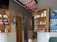 -关爱宠物医院·猫科中心·消化科(滨湖万达分院)