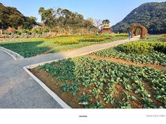 -广州市石门国家森林公园