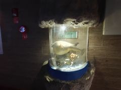 -太平洋海底世界